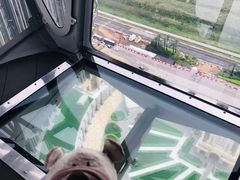 -影汇之星8字形摩天轮
