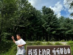 -黄椅山火山森林公园