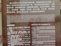 -铁山坪森林公园