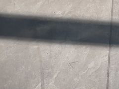 -7cake榴莲千层蛋糕(松江店)