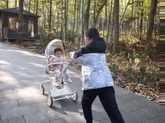 -午潮山国家森林公园