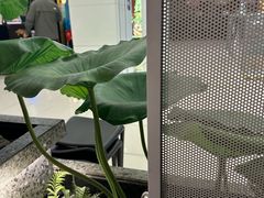 -新辣道鱼火锅(上地华联店)
