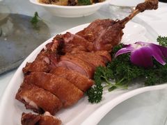 -小贝壳酒楼(经九路店)