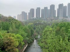 -重庆彩云湖湿地公园