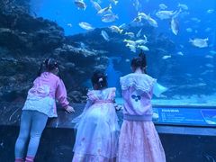 -海合安成都极地海洋公园