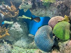-福州罗源湾海洋世界旅游区