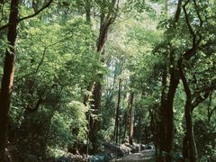 -南岗山公园