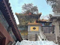 -千佛山风景名胜区