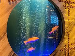 -莉莉海堂HAITANG·烤鸭(国贸商城店)