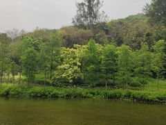 -云溪植物园