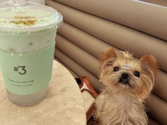 -Yee3·三号椰(上海中山公园龙之梦店)