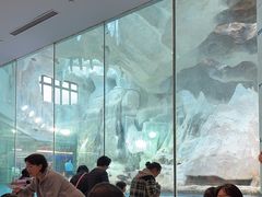 -帝企鹅自助餐厅•儿童岛•真企鹅(长隆企鹅酒店)