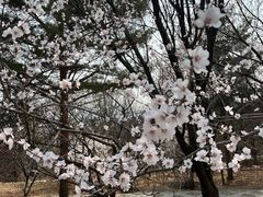 -鹫峰国家森林公园