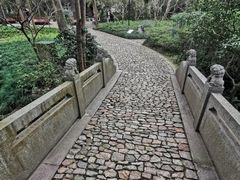 -汇龙潭