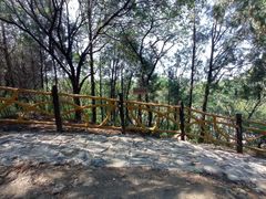 -阳台山自然风景区