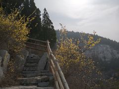 -佛慧山
