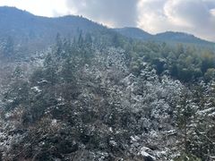 -安吉龙王山风景区