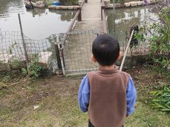 -鹅湖玫瑰文化园