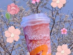 -CoCo都可(国芳百货店)