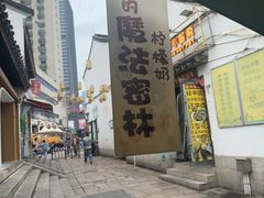 -猫的魔法密林(衣裳街店)