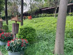 -揭东万竹园旅游景区