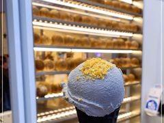 -蔻蔻椰·鲜萃椰子水(COCO Park店)