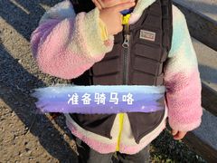 -前小桔亲子创意农场·草莓采摘·露营烧烤