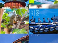 -天坛公园