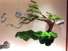 -揽季锅物会.福建黄鱼.海鲜姿造(五四路店)