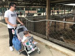 -北京鹿世界主题园