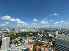 -新加坡瑞士史丹福酒店