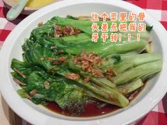罗马生菜-西贝(枫蓝国际购物中心店)