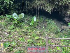 -海口火山口国家地质公园