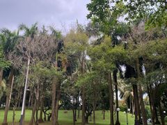 -荔香公园