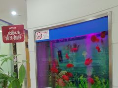 -雅悦齿科(顾村公园店)