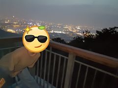-紫金山山顶公园