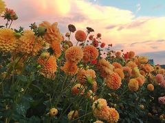 -云漫湖生态度假公园