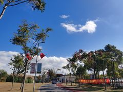 -上海长兴岛郊野公园