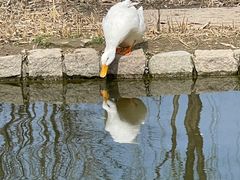 -三里河公园