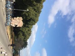-久萌教培·仙霞网球中心官方培训