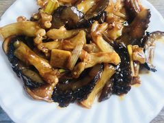 牛筋海参-林之六八·6886大连老菜馆