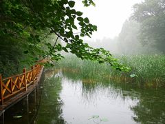 -云岗森林公园