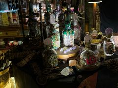 -雪灵魔法世界SHELLY’S TAROT(大良桂畔里店)