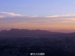-长虫山生态公园风景林
