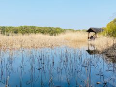 -同里国家湿地公园