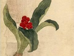 -六出私塾LiuChu•成人美术书法系统课程专业画室(熊婆婆的花园店)