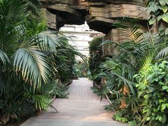 -南宫温泉水世界