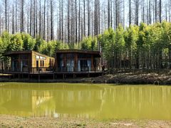 -黄海国家森林公园