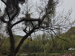 -小格里自然风景区