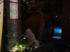 -江南足纪·影院足道·轻奢SPA(笋岗HALO广场店)
